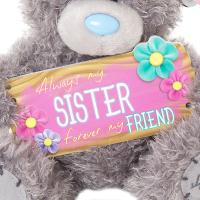 7" Amazing Sister Plaque Me to You Bear Extra Image 3 Preview